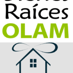 Bienes Raíces OLAM